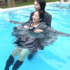 Thumbnail of related posts 190