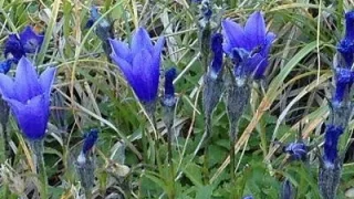 Thumbnail of post image 102