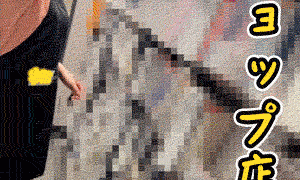 Thumbnail of post image 041