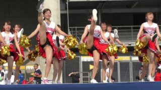 Thumbnail of post image 061